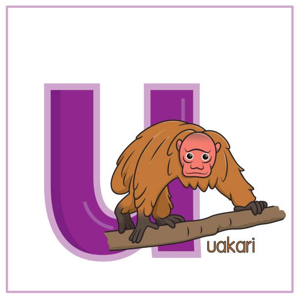 Animals That Start With U