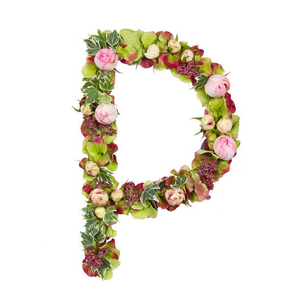 Flowers that Start With P