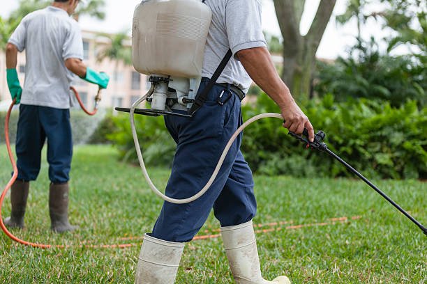 What Is The Best Way To Prevent Pest Infestations