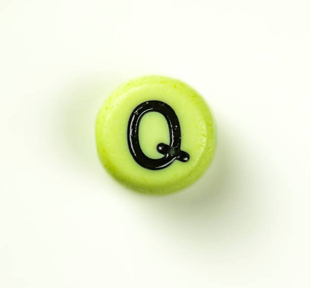 Animals That Start With Q