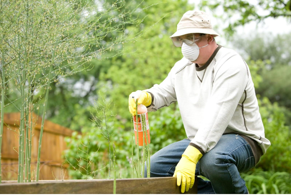 How to handle pest infestations during a flood