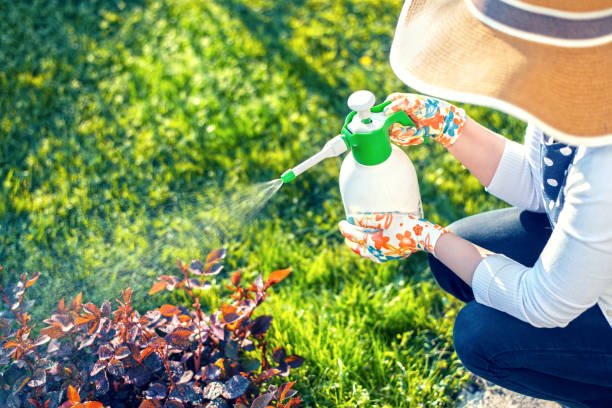 Weed Killer For Flower Beds