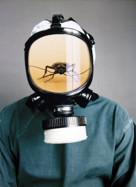 How To Get Rid Of German Roaches Overnight