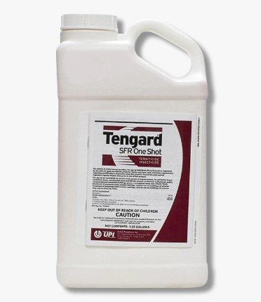 Tengard