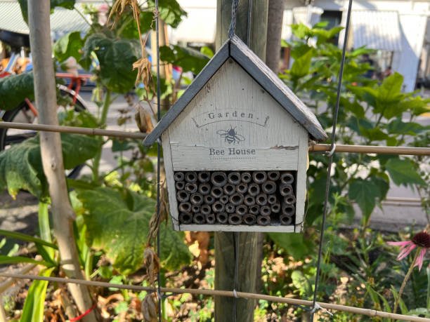 How To Build A Carpenter Bee House 2 How To Build A Carpenter Bee House