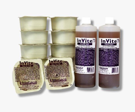 InVite Fruit Fly Traps