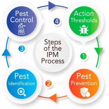 Discover What Is An IPM & How To Use It Effectively 2 What is an IPM