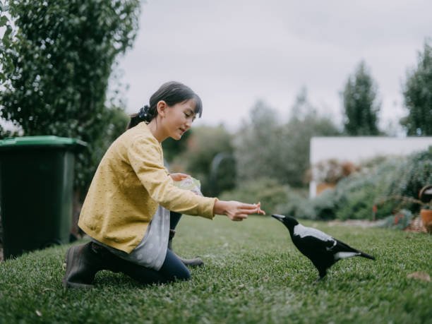 How To Stop Birds From Digging Up Grass