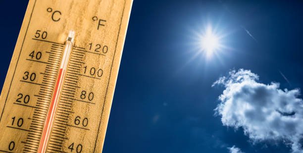 Bed Bug Temperature Chart: How To Use Effectively