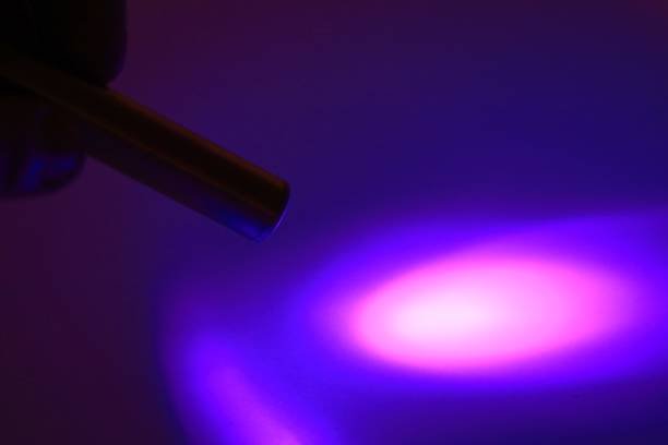 Can A Black Light See Bed Bugs