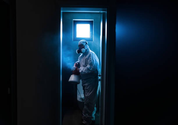 Can Fumigation Kill Bed Bugs