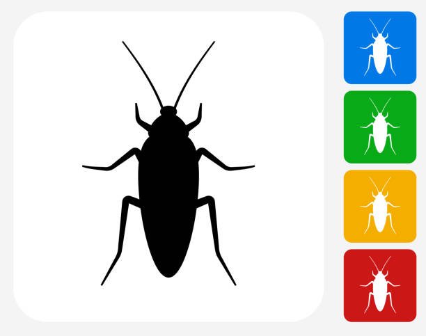What Do Cockroaches Symbolize?