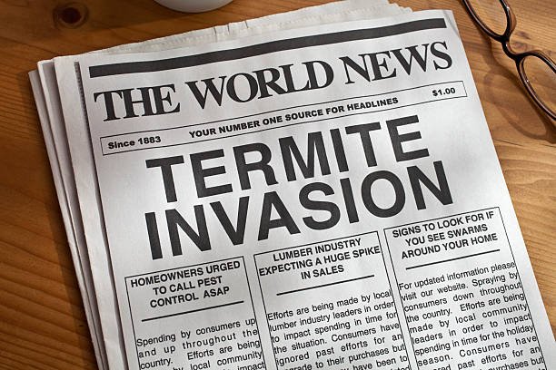 Termites in Idaho
