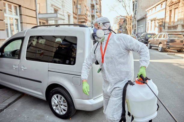 Car Fumigation
