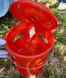 Weevil Trap: The #1 Solution To Your Weevil Problem? 5 Weevil Trap