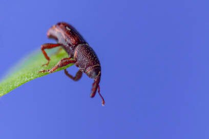 Pest Control Warehouse: The 4 Amazing Rules You Should Know 5 Pest Control Warehouse