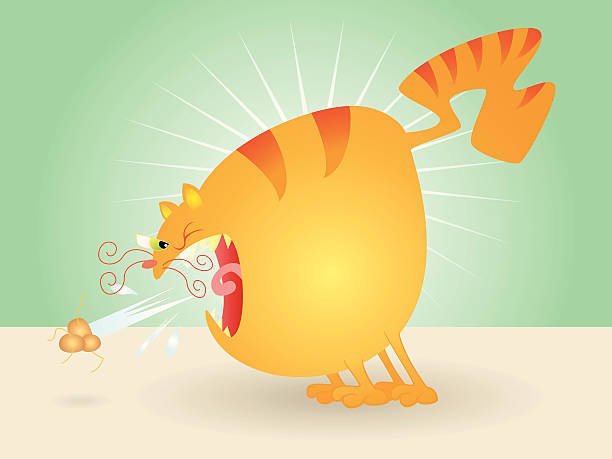 How To Prevent Hairballs In Cats Naturally