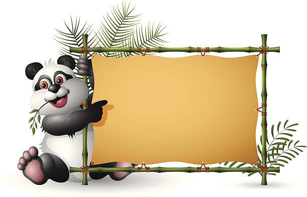 San Diego Zoo National Panda Day