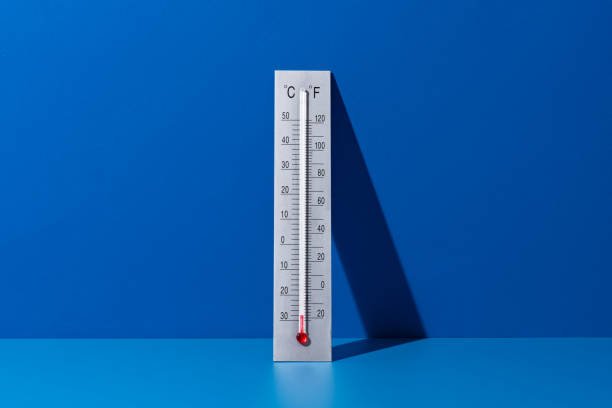 Can Bed Bugs Survive in Cold Weather