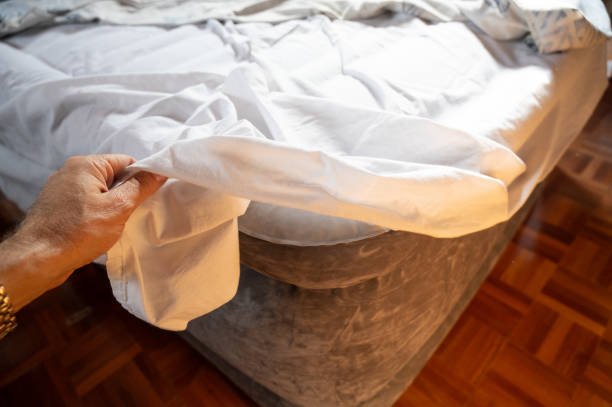 Can Bed Bugs Live On Air Mattresses