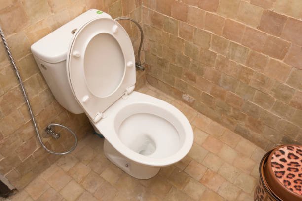 Can Mice Come Up Through The Toilet Bowl