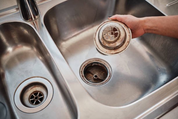 Can Mice Get In Through Drains