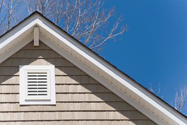 Can Mice Get In Through Soffit Vents