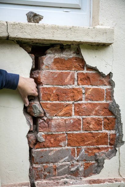 Can Mice Get In Through The Foundation