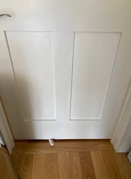 Can Mice Squeeze Under Doors